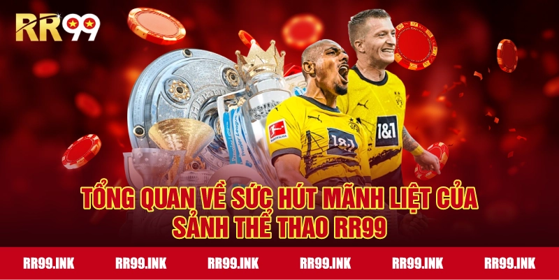 Tổng quan về sức hút mãnh liệt của sảnh Thể Thao RR99